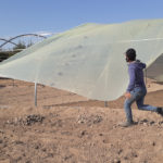 تثبت النايلون على البيوت البلاستيكية - GAV