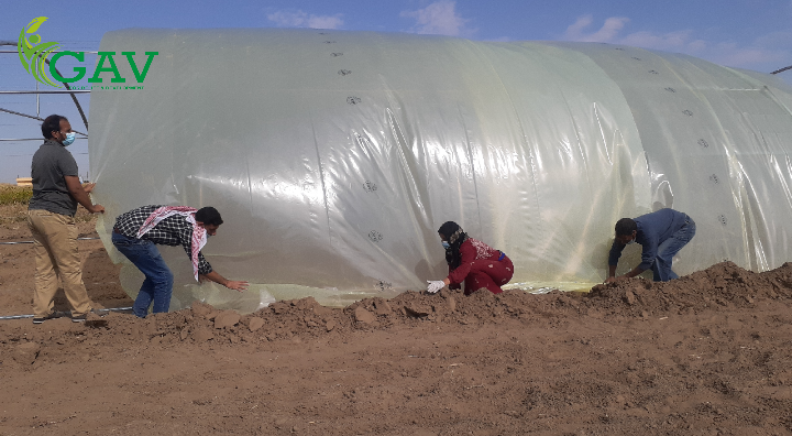 تثبت النايلون على البيوت البلاستيكية - GAV