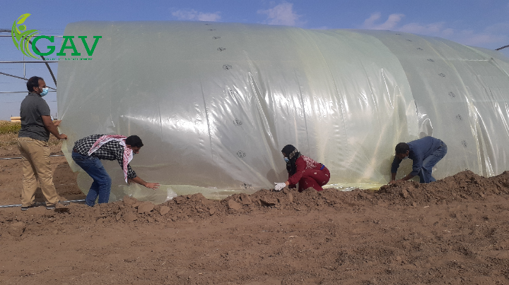 تثبت النايلون على البيوت البلاستيكية - GAV