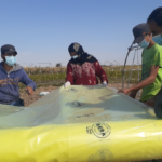 تثبت النايلون على البيوت البلاستيكية - GAV