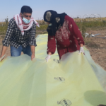 تثبت النايلون على البيوت البلاستيكية - GAV